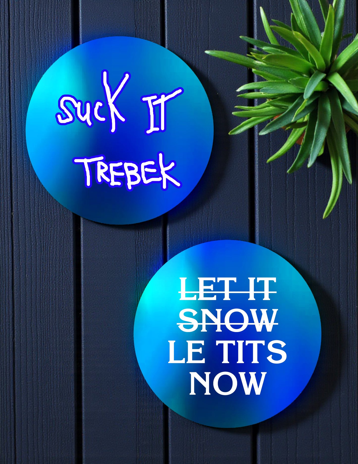 Suck it Trebek Ceramic Coasters - Set of 2!