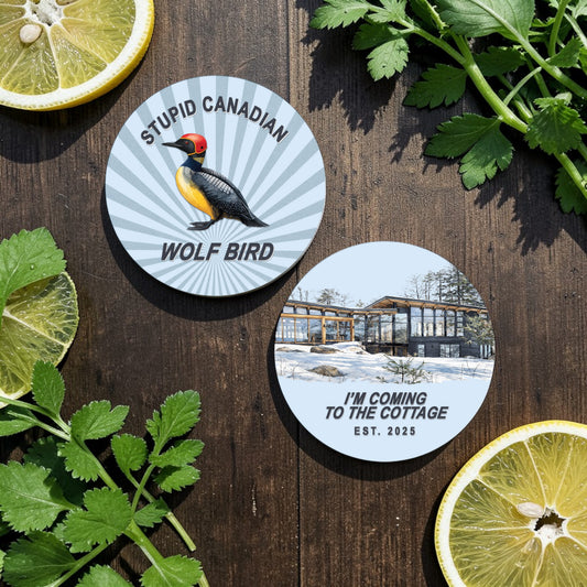 Heated Rivalry-Inspired Ceramic Coasters - Set of 2!